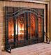 2-Door Floral Fireplace Screen with Beveled Glass Panels in Black