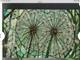 Dandelion Tempered Glass Wall Art Stained Glass Look, Floral Decor