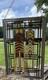 Frank Lloyd Wright Stained Glass Panel Autumn Sumac Suncatcher MCM Architect