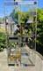 Geometric Stained Glass Panel Abstract Frank Lloyd Wright Style Suncatcher