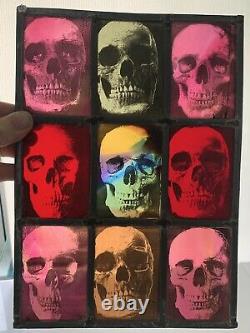 Stained Glass Panel Skulls