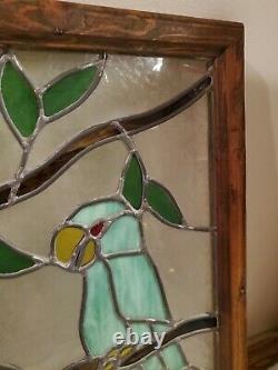 Stained Glass Window Panel Parrot Iridized Clear 25 x 18