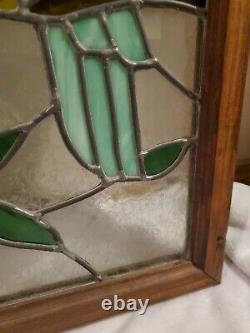 Stained Glass Window Panel Parrot Iridized Clear 25 x 18