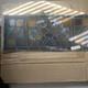 Vintage Chicago stained glass window 30.5x 12.25