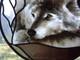 Wolf Spirit'Winter Wolf' stained glass window, glass painting kiln fired
